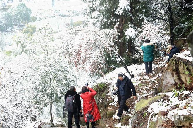 没看够！再来一波内江的雪-8.jpg