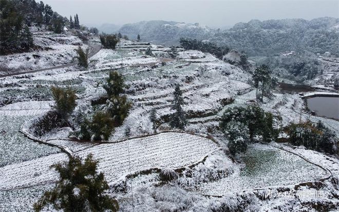 没看够！再来一波内江的雪-9.jpg