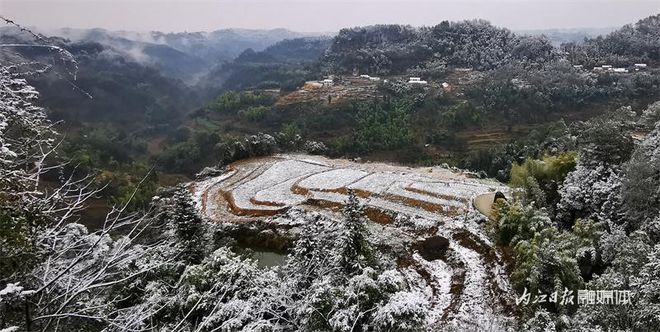没看够！再来一波内江的雪-10.jpg