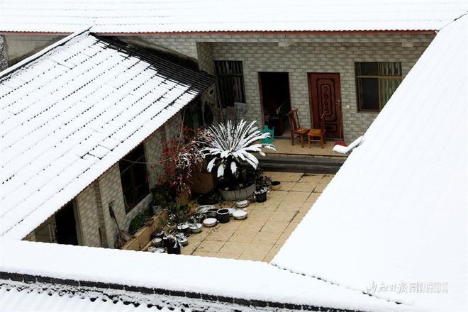 没看够！再来一波内江的雪-15.jpg