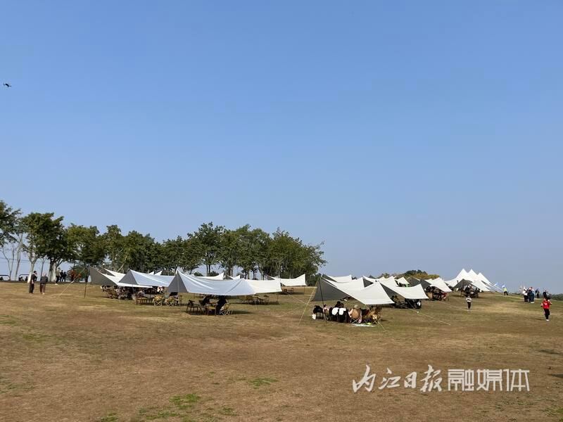 同比增长110%！春节假期，内江市市中区共接待游客69.51万人次-3.jpg