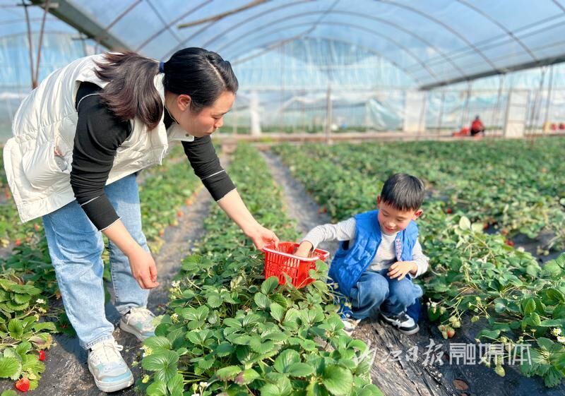 不负春光，到东兴区这条线享受“莓”好时光-1.jpg