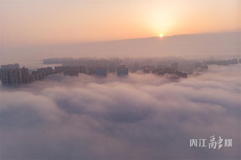 今晨大雾，内江城区宛如仙境-2.jpeg