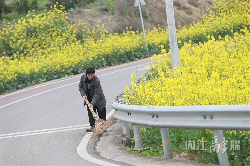 开繁了！内江这里一片金黄-10.jpeg