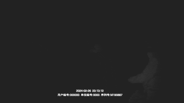 自导自演“绑架案”，威远一男子被拘留！-2.gif