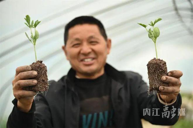 “浴霸”、“电热毯”齐上阵！内江这种“甜果”为啥这么甜？-4.jpg