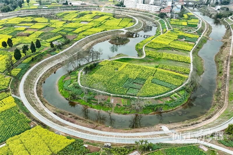 内江东兴区：清流河畔 油菜花开-4.jpg