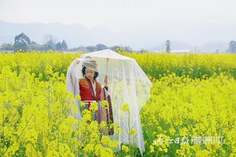 春日盛宴！威远县油菜花节拉开帷幕-12.jpg