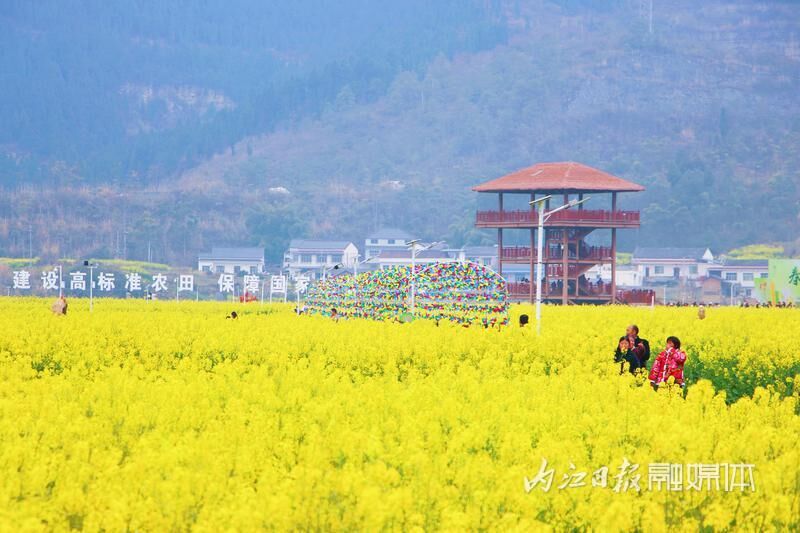 春日盛宴！威远县油菜花节拉开帷幕-7.jpg