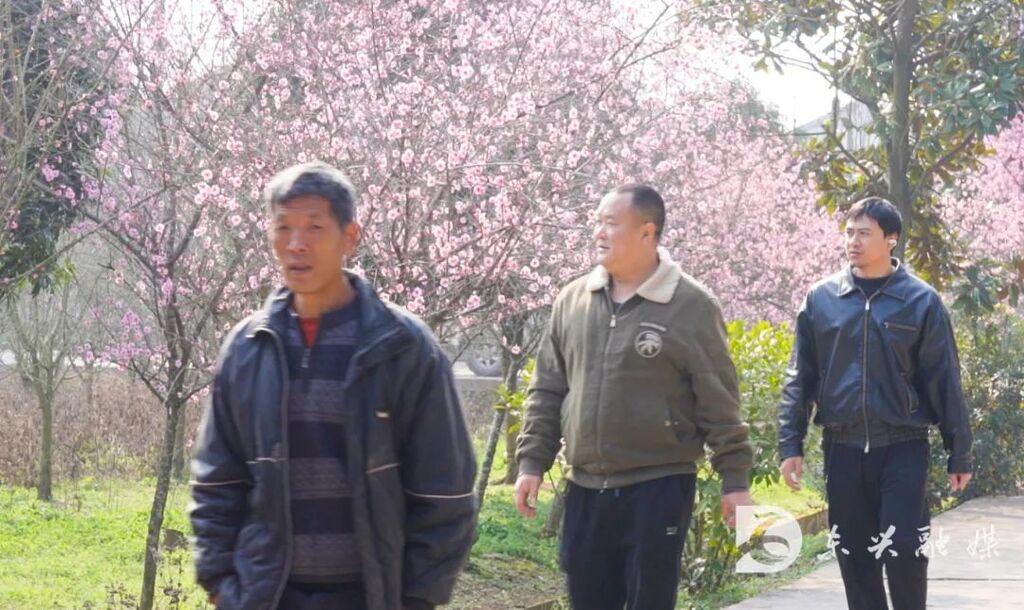 内江东兴：踏春正当时，三月的桃花送给你-8.jpg