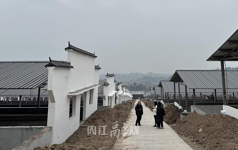 唯有爱与美食不可辜负，看威远黑山羊智闯“江湖”-1.jpg