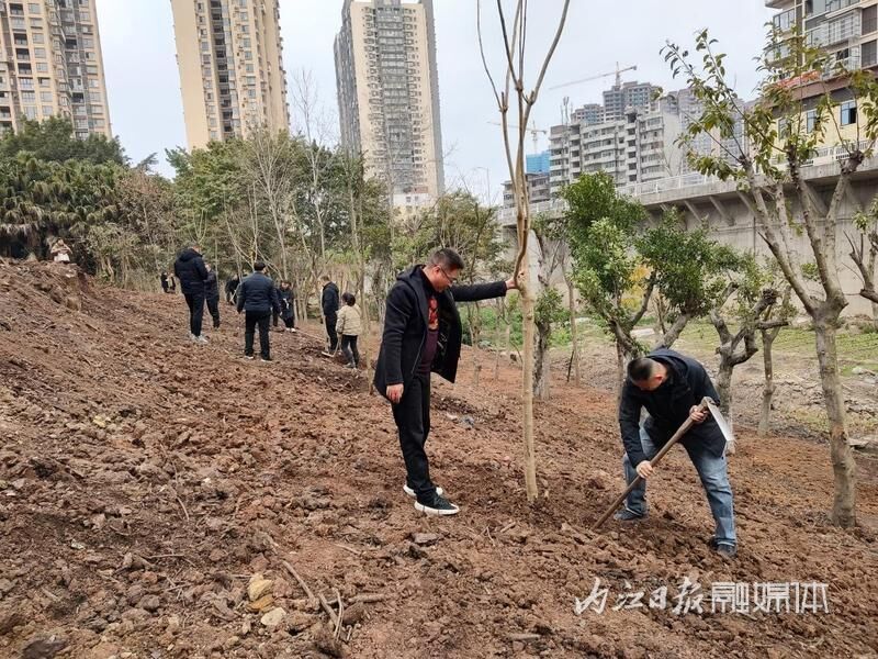 植树节将至，威远县努力确保城市公共绿地“栽满种尽”-1.jpg