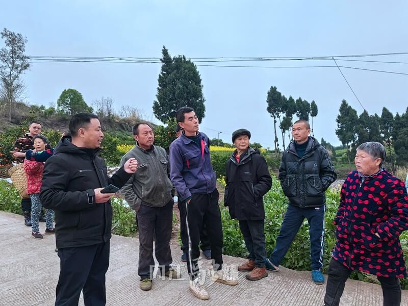 从“中国晚熟血橙第一村”看资中血橙的“腾飞”之势-3.jpg