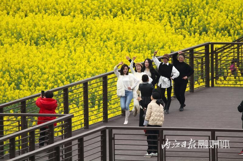 好玩又出片，内江乐贤街道这片油菜花海成热门“打卡地”-2.jpg