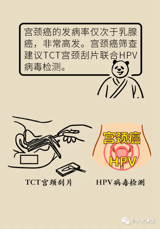 d17.webp
