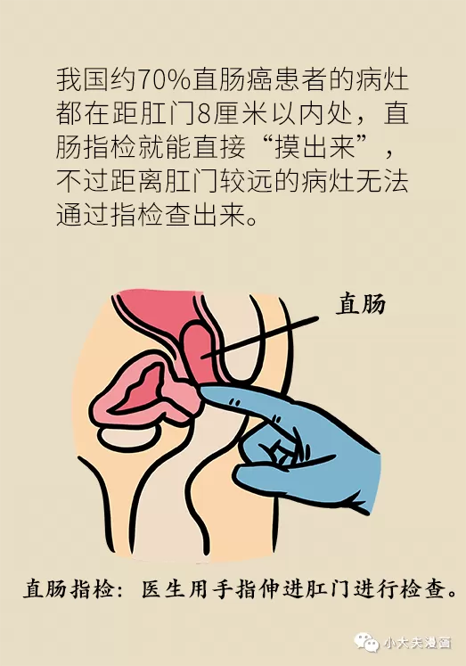 d10.webp