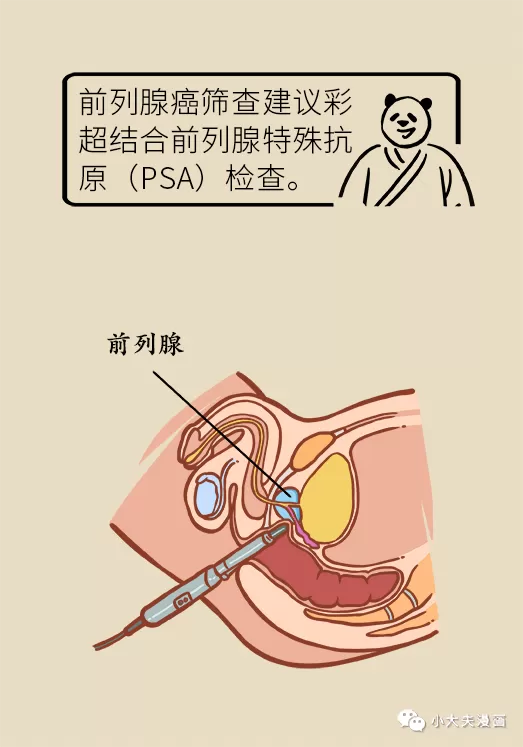 d19.webp
