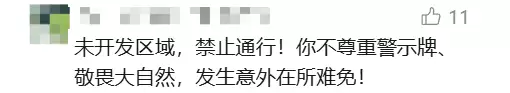 d9.webp