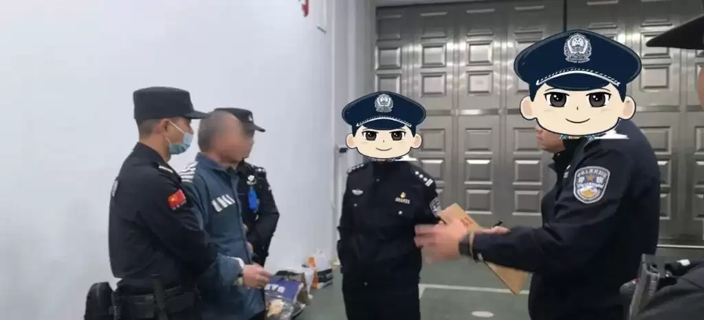 d6.jpg