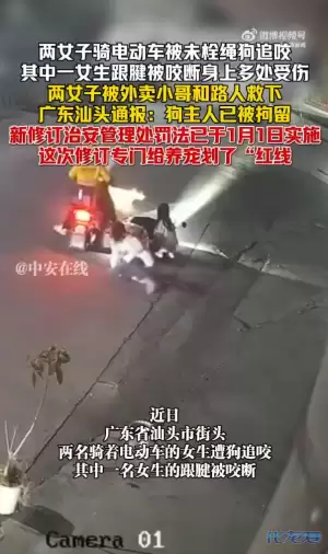 d2.jpg