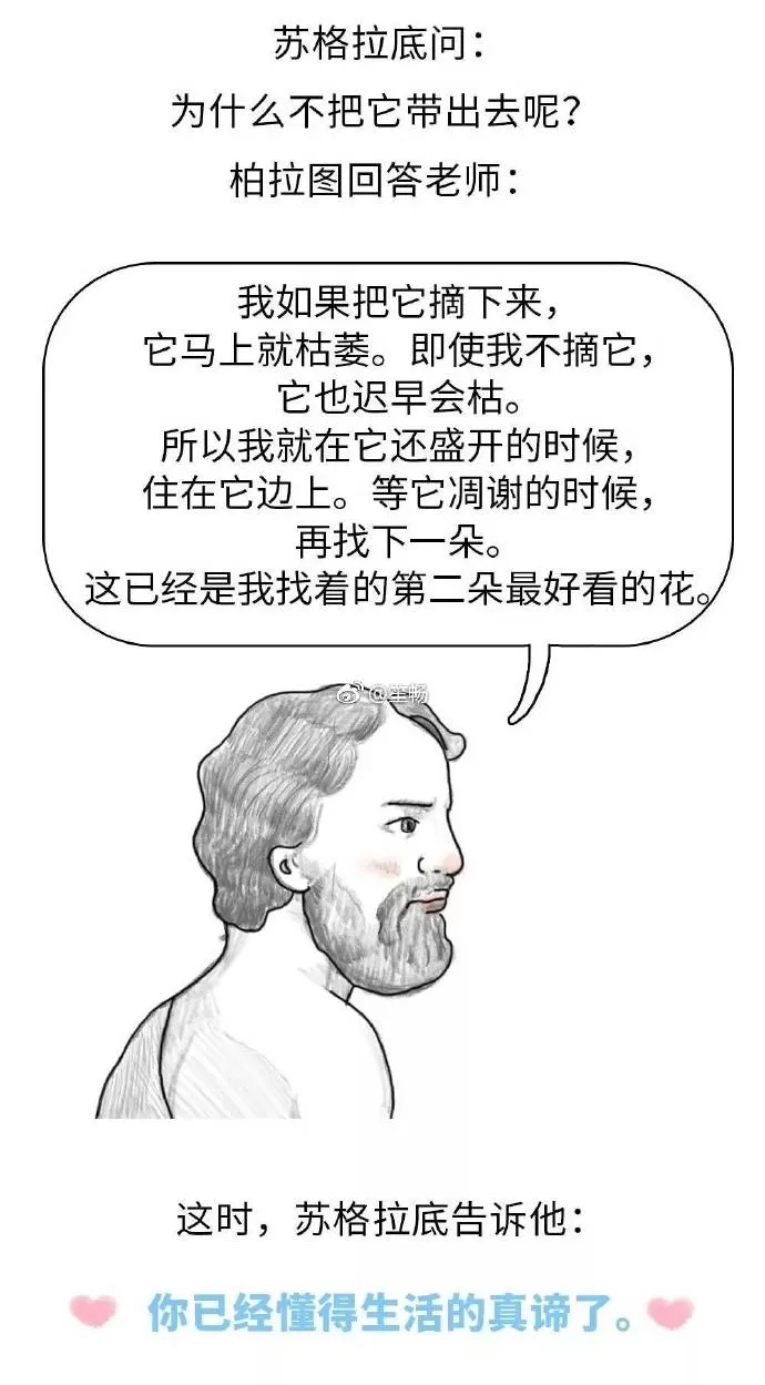 d7.jpg