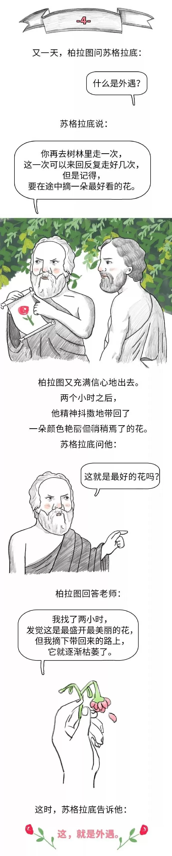 d5.jpg