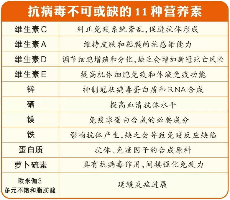 d5.webp