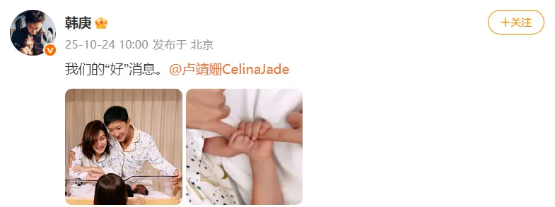 d5.webp