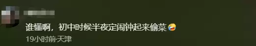 d3.webp