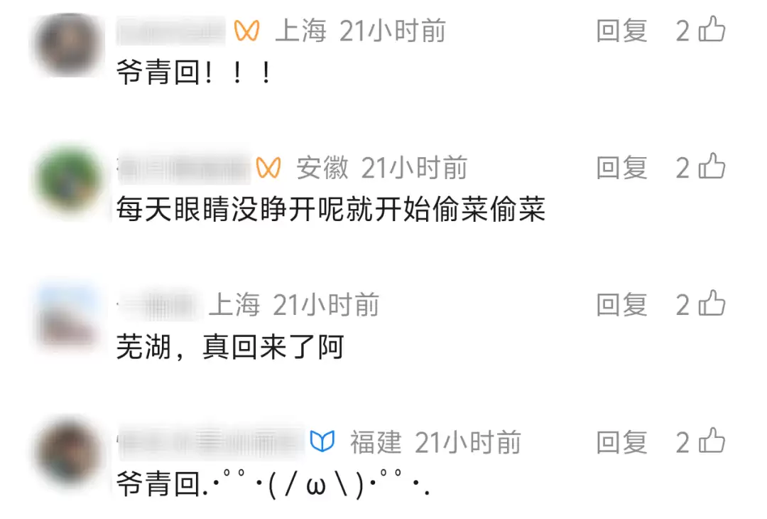 d6.webp