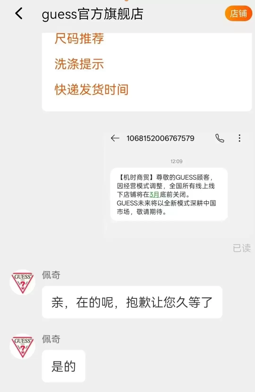 d3.webp