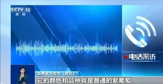 芒果凤梨没芒果、草莓芭乐没草莓！揭露网红水果命名背后的消费陷阱
New